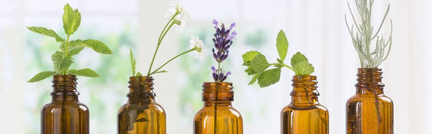 OILS: ESSENTIAL CARE FOR YOUR SKIN